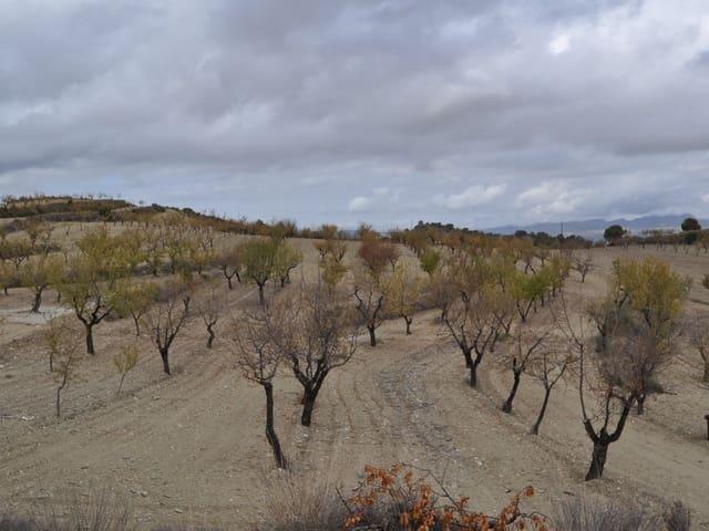 Terreno en venta en La Zarza, La Zarza