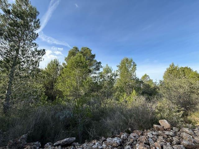 Terreno en venta en Baix Ebre, Catalunya