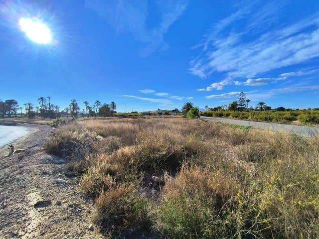 Terreno en venta en les Baies / Las Bayas, el Baix Vinalopó