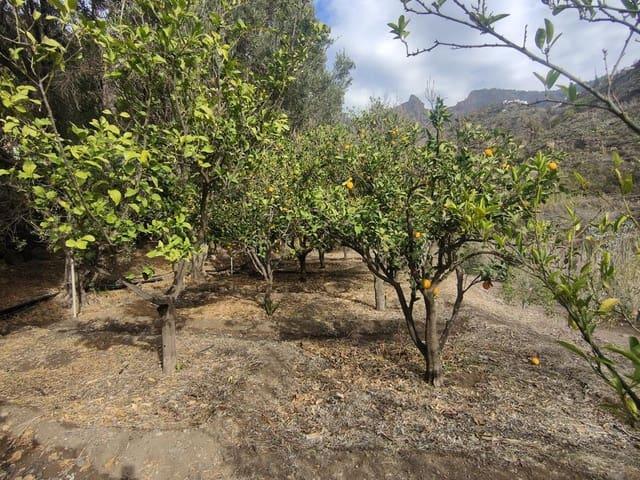 Terreno en venta en San Bartolomé De Tirajana, Canarias