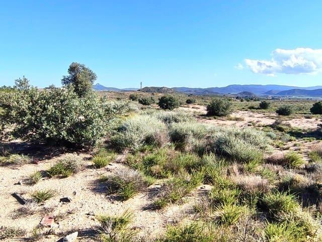 Terreno en venta en Las Virtudes, l'Alt Vinalopó / El Alto Vinalopó