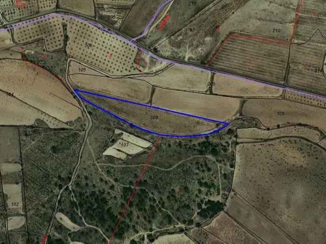 Terreno en venta en Lel, el Vinalopó Mitjà / El Vinalopó Medio