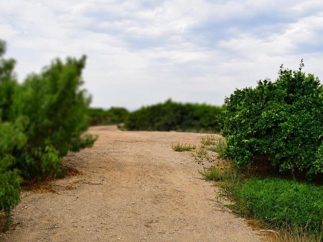 Terreno en venta en Llano de Brujas, Área Metropolitana de Murcia