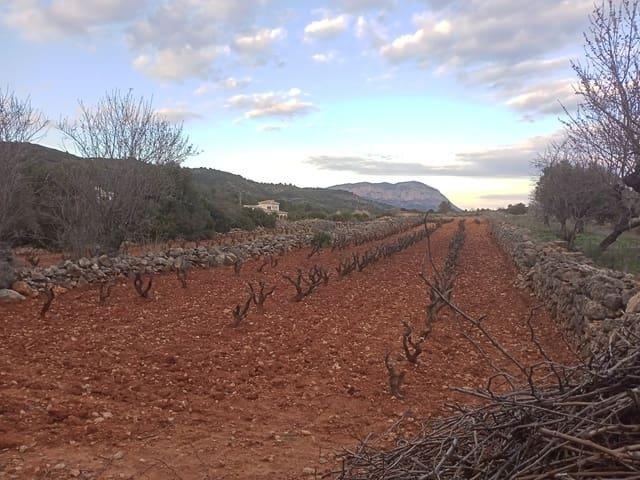 Terreno en venta en la Marina Alta, Valencia