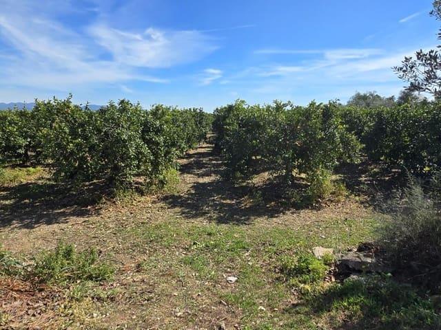 Terreno en venta en el Camp de Túria, Valencia