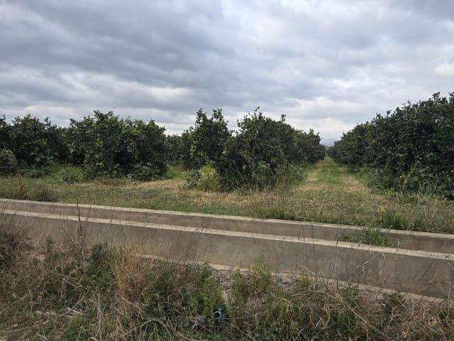 Terreno en venta en el Camp de Túria, Valencia