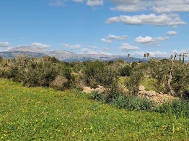 Terreno en venta en Llubí Terreno en venta en Llubí