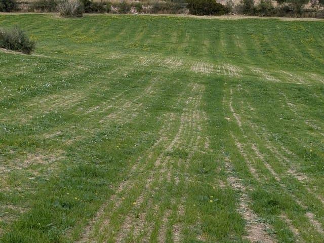 Terreno en venta en Pla de Mallorca, Baleares