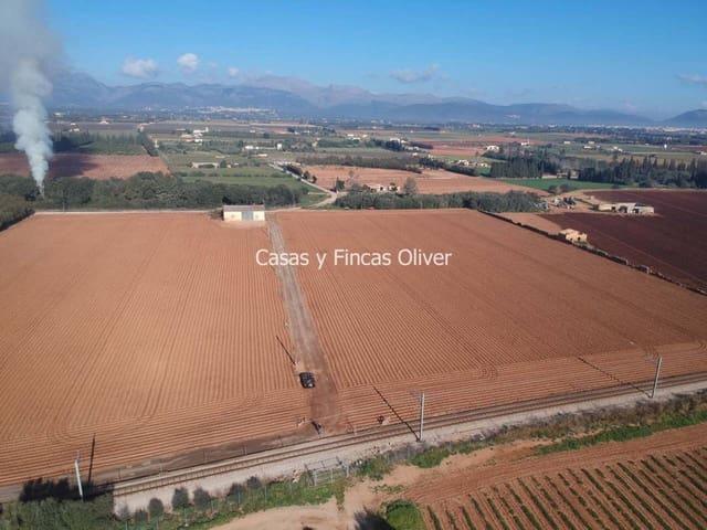 Terreno en venta en Pla de Mallorca, Baleares