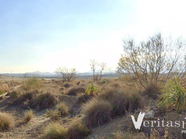 Terreno en venta en Los Gallardos, Andalucía