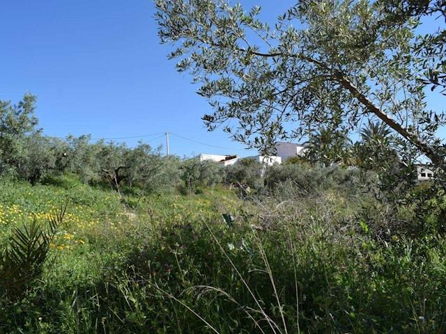 Terreno en venta en Los Gallardos, Andalucía