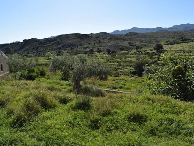 Terreno en venta en Los Gallardos, Andalucía
