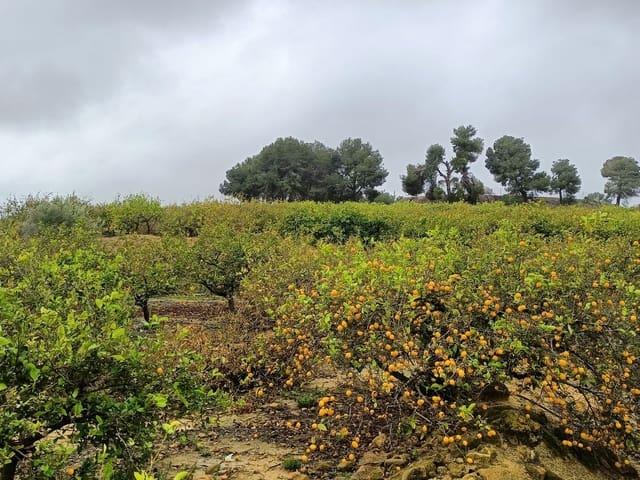 Terreno en venta en el Baix Segura / La Vega Baja, Valencia