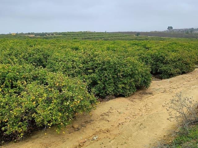 Terreno en venta en el Baix Segura / La Vega Baja, Valencia