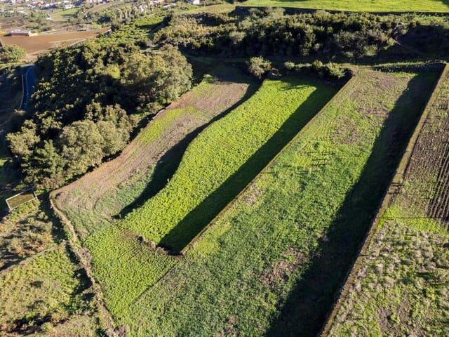 Terreno en venta en Realejo Alto, Los Realejos