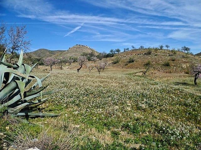Terreno en venta en Lubrín, Andalucía