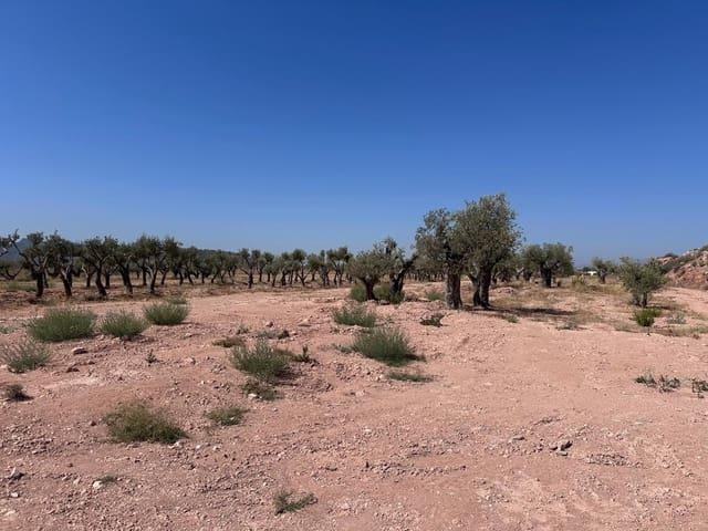Terreno en venta en Macisvenda, Oriental