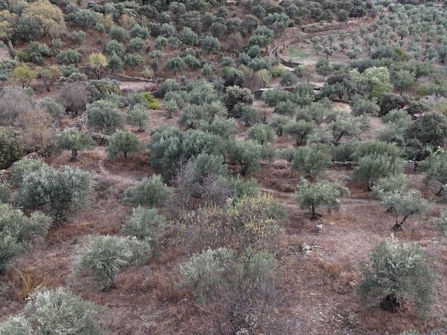 Terreno en venta en Madroñera, Extremadura