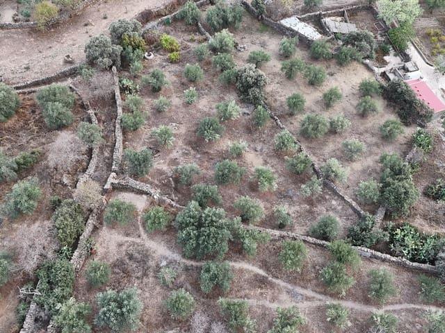 Terreno en venta en Madroñera, Extremadura