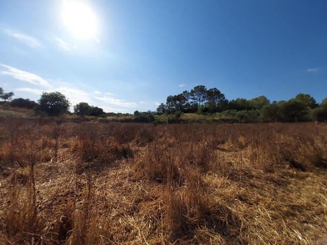 Terreno en venta en Pla de Mallorca, Baleares