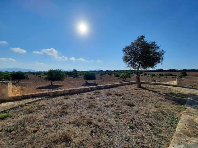 Terreno en venta en Pla de Mallorca, Baleares