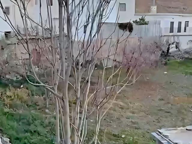 Terreno en venta en Mecina Bombarón, Alpujarra de la Sierra
