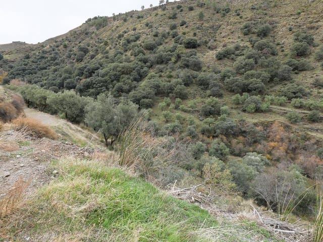 Terreno en venta en Comarca de la Vega de Granada, Andalucía