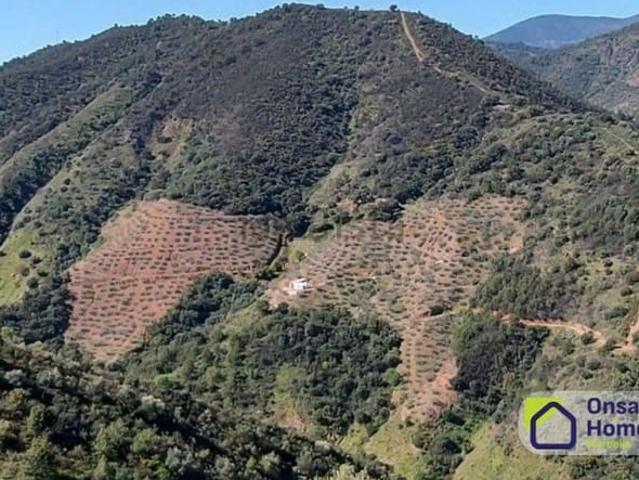 Terreno en venta en Sierra de las Nieves, Andalucía
