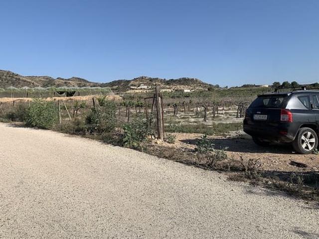 Terreno en venta en el Vinalopó Mitjà / El Vinalopó Medio, Valencia
