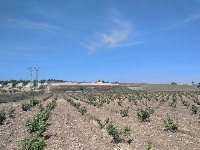 Terreno en venta en el Vinalopó Mitjà / El Vinalopó Medio, Valencia