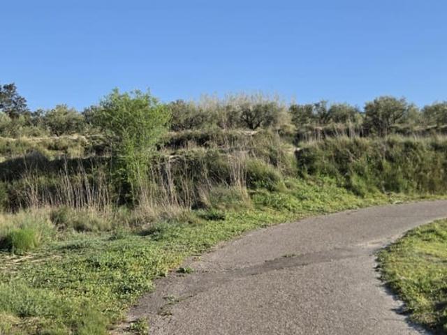Terreno en venta en la Vall d'Albaida, Valencia