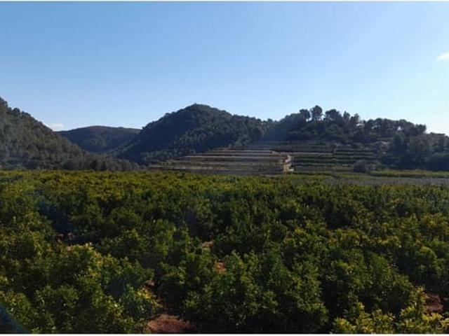 Terreno en venta en la Marina Alta, Valencia