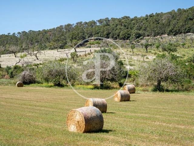 Terreno en venta en Pla de Mallorca, Baleares
