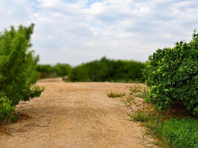 Terreno en venta en Llano de Brujas, Área Metropolitana de Murcia