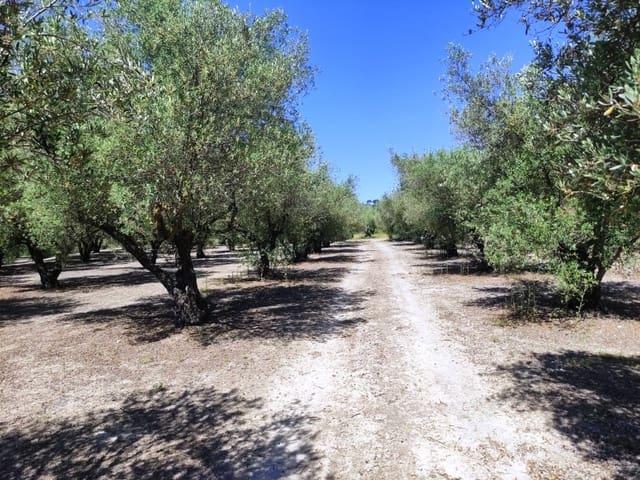 Terreno en venta en Setla de Nunyes, el Comtat