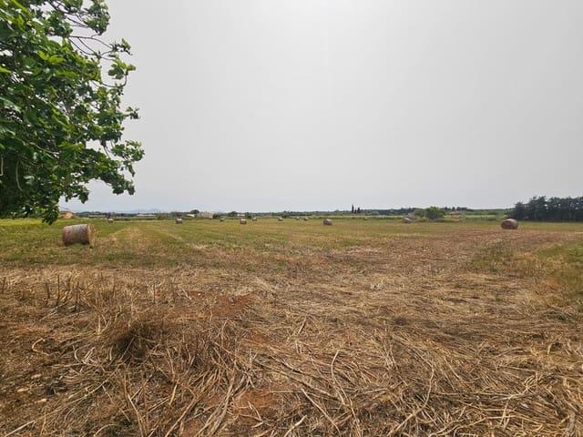 Terreno en venta en Pla de Mallorca, Baleares