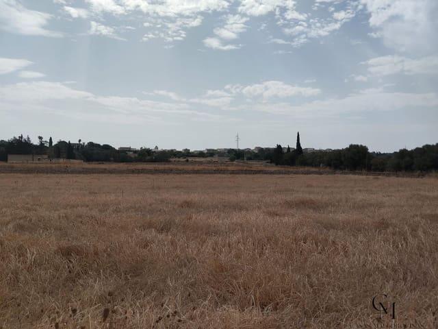 Terreno en venta en Pla de Mallorca, Baleares