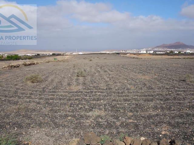 Terreno en venta en Teguise, Canarias