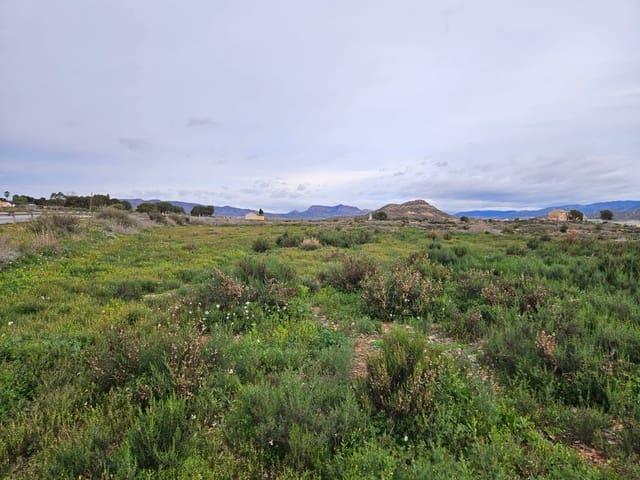 Terreno en venta en La Cruz, el Vinalopó Mitjà / El Vinalopó Medio