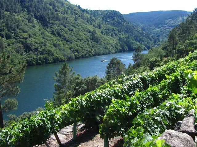 Terreno en venta en O Saviñao