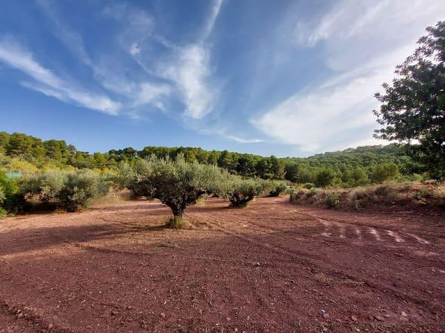 Casa Rural en venta en el Camp de Túria, Valencia