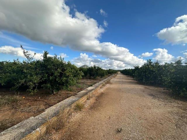 Terreno en venta en Pamis, la Marina Alta