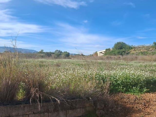 Terreno en venta en Pamis, la Marina Alta