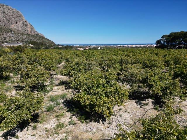 Terreno en venta en Pamis, la Marina Alta