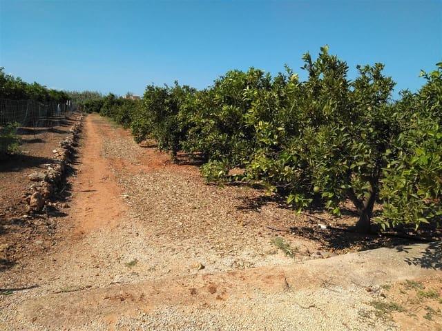 Terreno en venta en Pamis, la Marina Alta