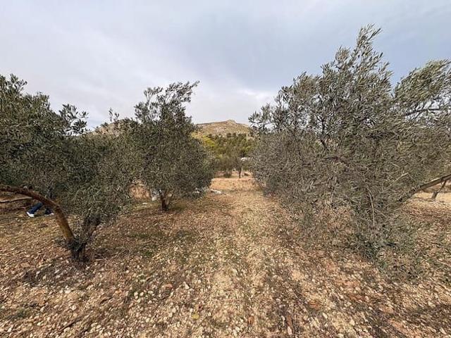 Terreno en venta en Onil, Valencia