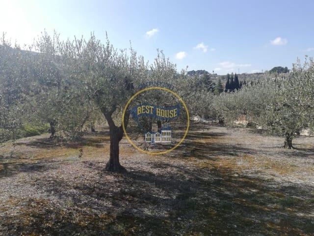 Terreno en venta en Ontinyent, Valencia