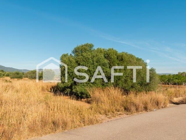 Terreno en venta en la Platja d'Orpesa, la Plana Alta