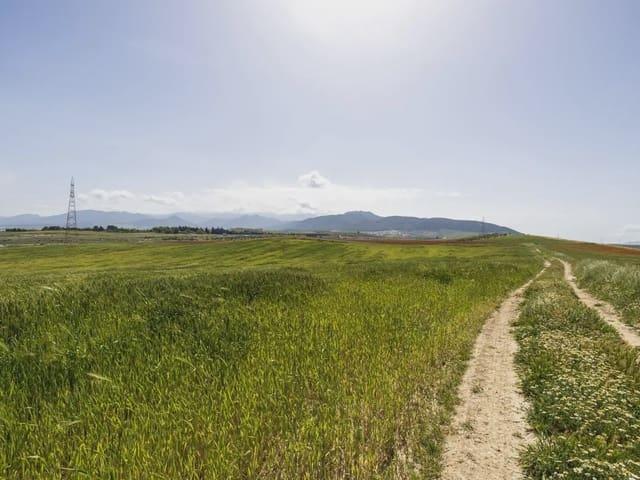 Terreno en venta en Comarca de la Vega de Granada, Andalucía