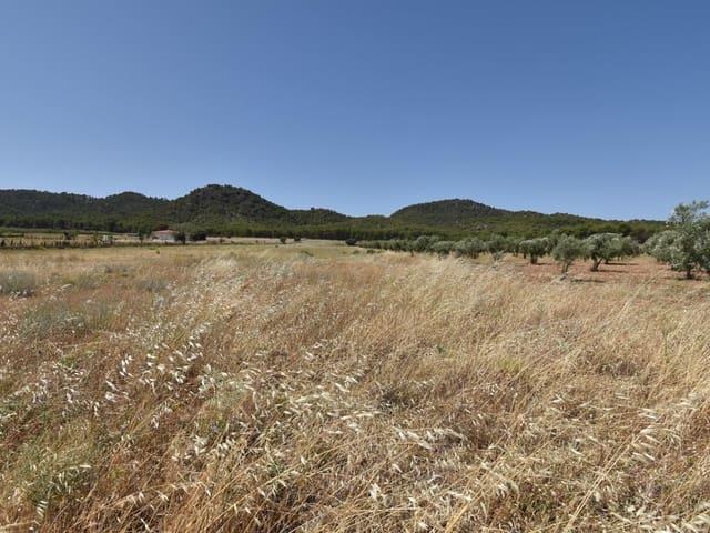 Terreno en venta en El Puntal, Comarca del Valle de Lecrín